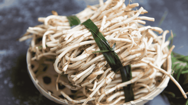 魚腥草